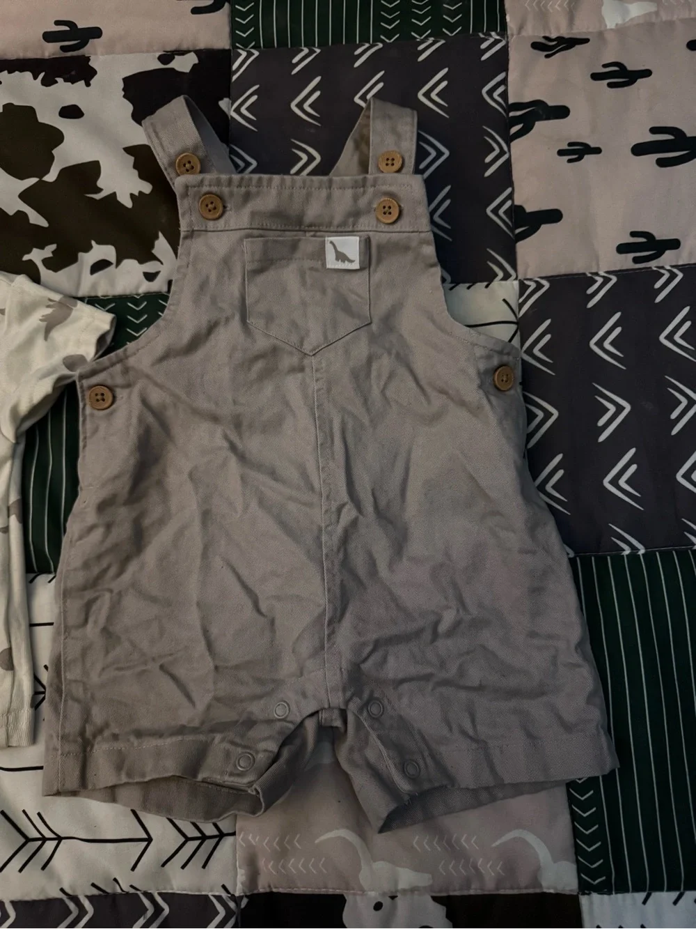 Carter's Cream Tee with Gray Dinosaur Print
